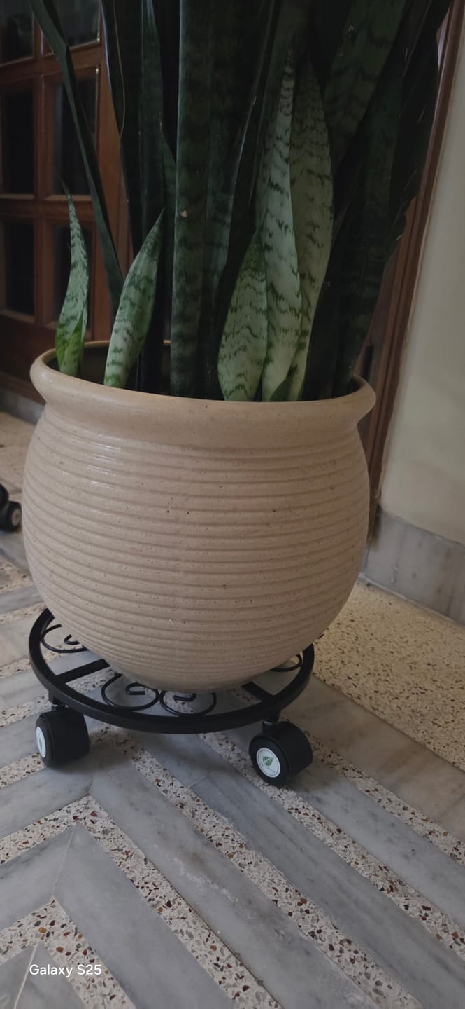 Customer photo review of TryGreen Luna Wheel Rolling Plant Stand for Planters