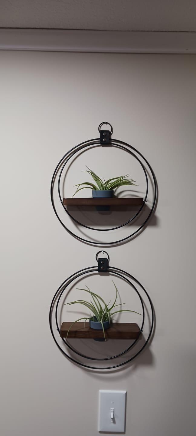 Customer photo review of Air Plant Shelf + Pot