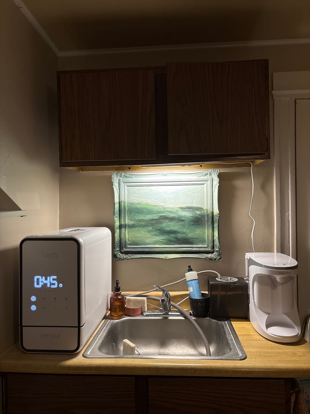 Customer photo review of Capsule Solo Dishwasher