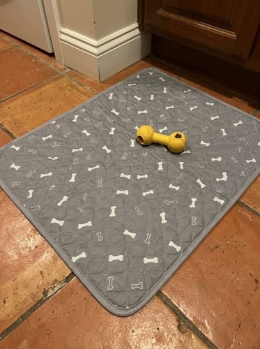 Customer photo review of SniffPad™