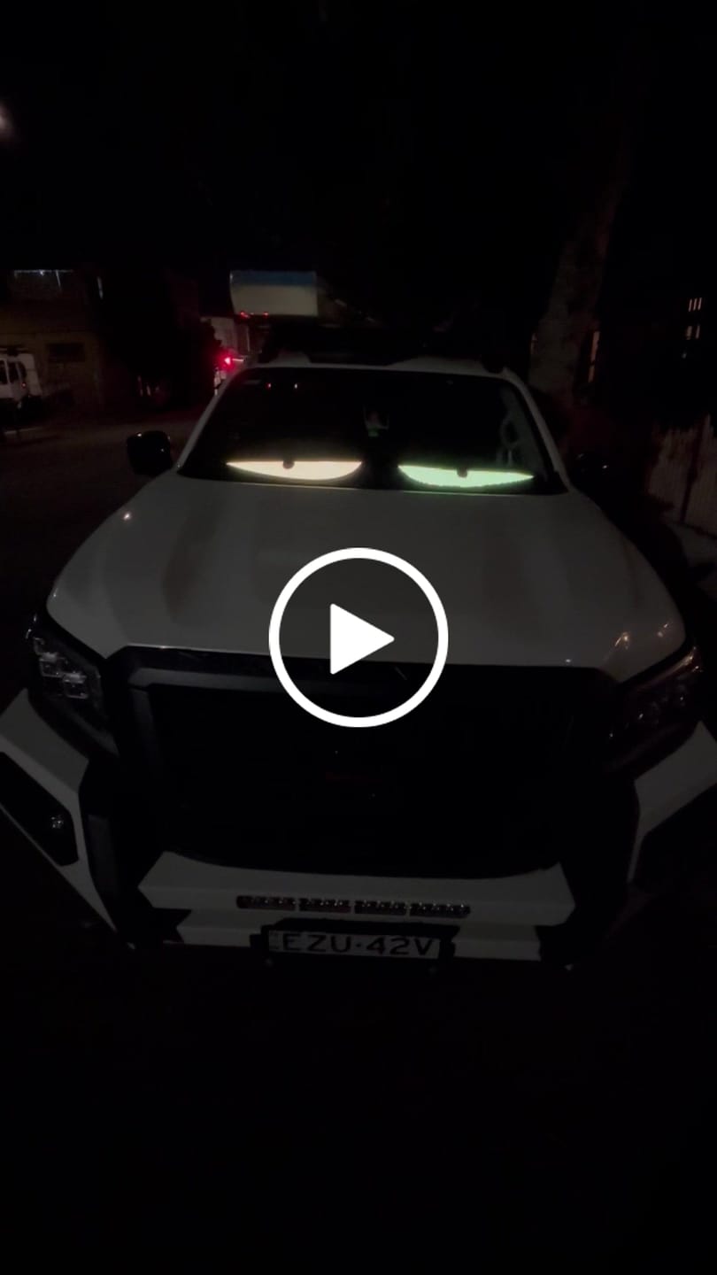 Customer video review of Electra Eyes - LED Animated Eyes