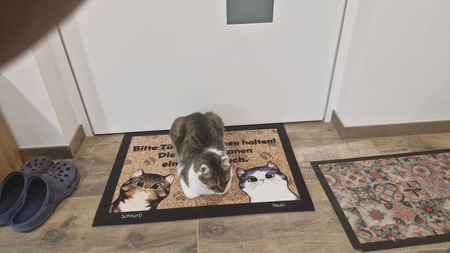 Customer photo review of Personalisierte Fußmatte - Katzen planen einen Ausbruch