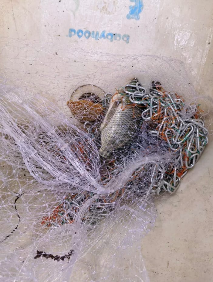 Customer photo review of Hand Cast Fishing Net with Large Disc for Easy Throw and Fast Catch