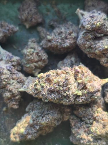 Customer photo review of Dank Toad Exotic THCA Flower