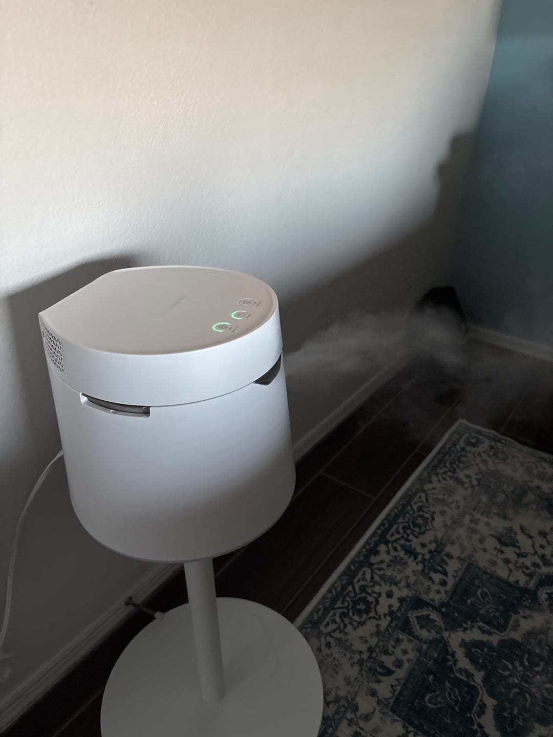 Customer photo review of Carepod One Plus with Stand - Stainless Steel Humidifier with Mood Light
