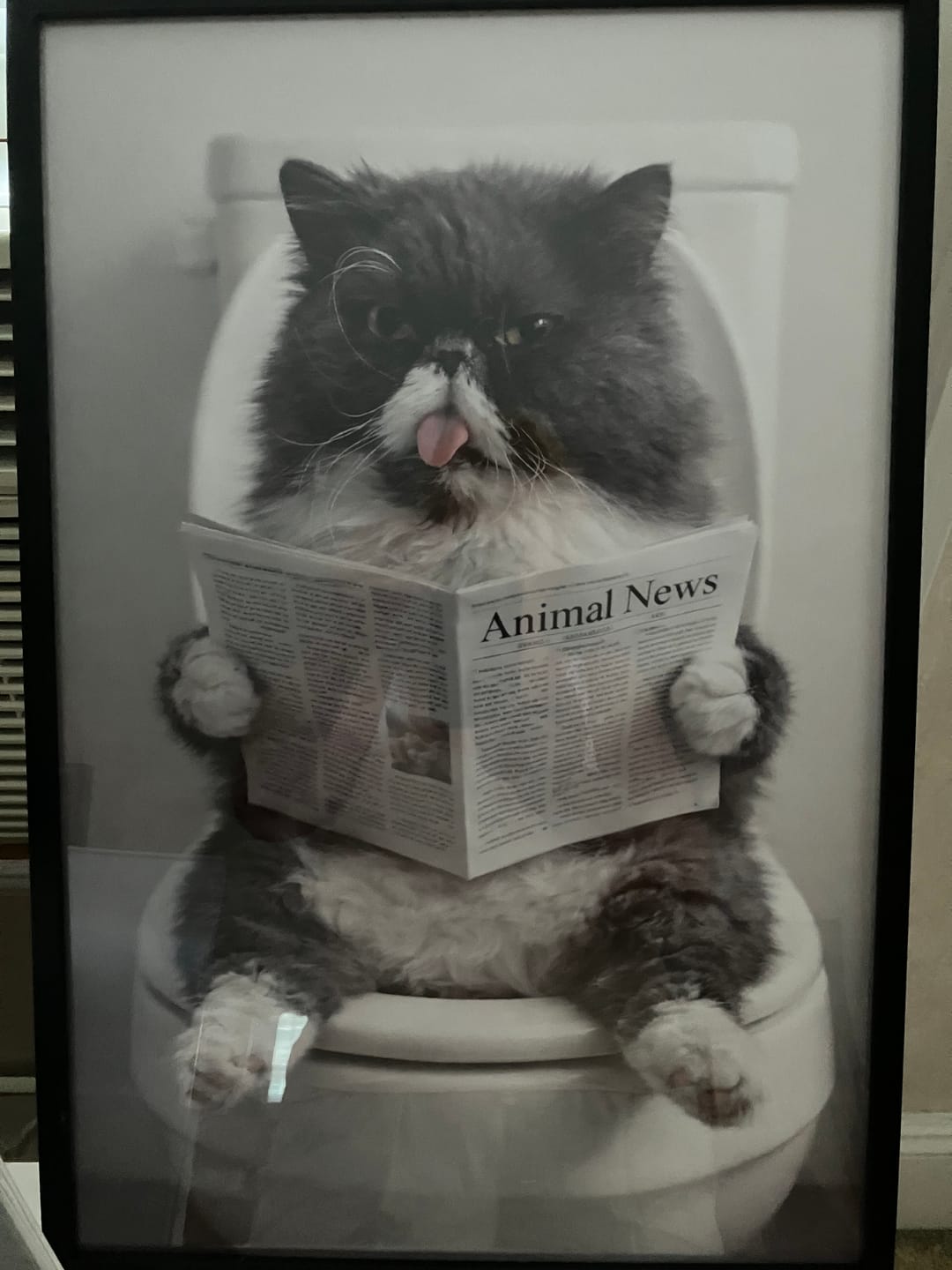 Customer photo review of Bathroom - Personalized Poster