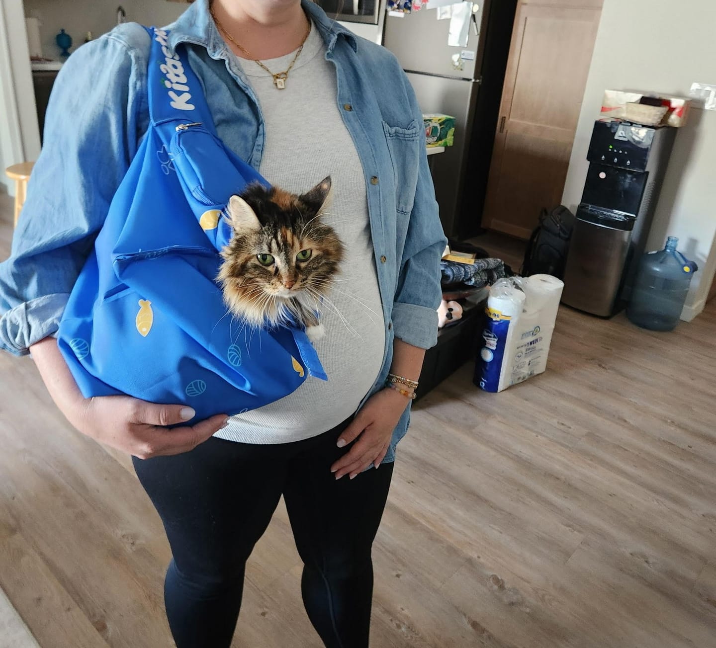 Customer photo review of Kitastic Cat Carrier