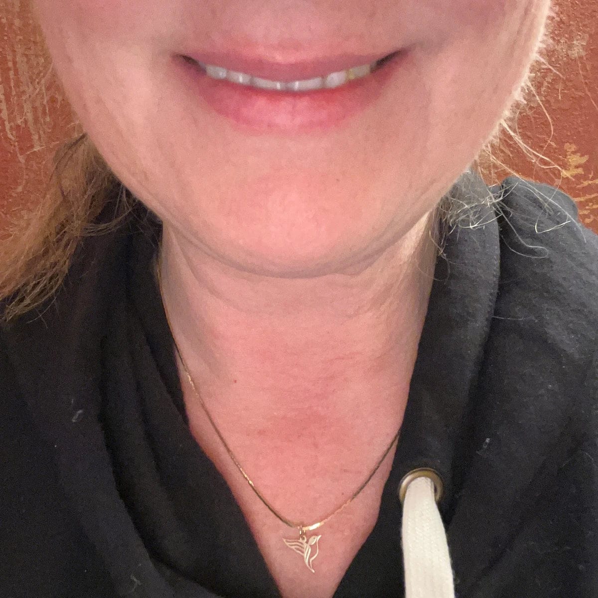 Customer photo review of Hummingbird Necklace – Gold Vermeil on Sterling Silver Dainty Charm