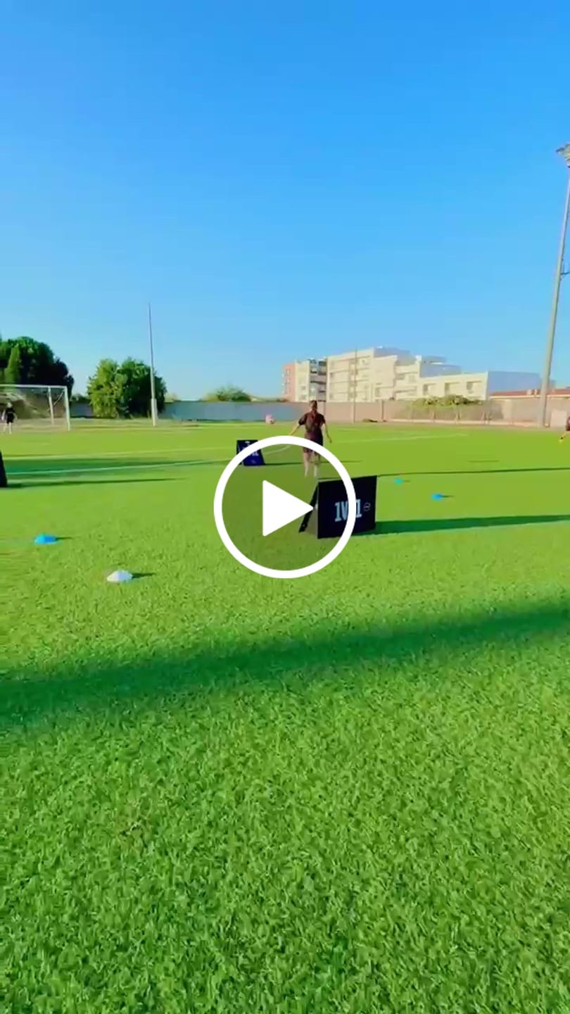 Customer video review of PROMO - GingaWall Professional