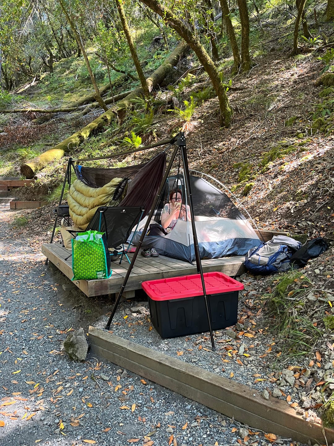 Customer photo review of Turtlebug Camper Hammock Stand
