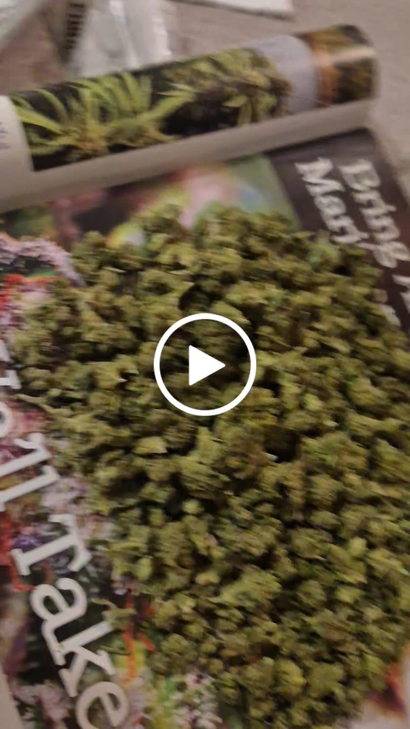 Customer video review of Fire OG - 28 Grams Littles - Indica