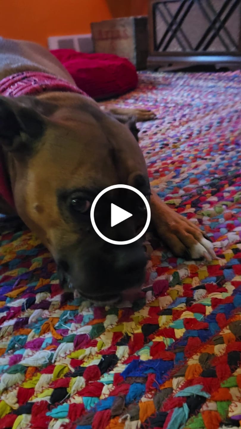Customer video review of Earthbones Dental Chews For Dogs