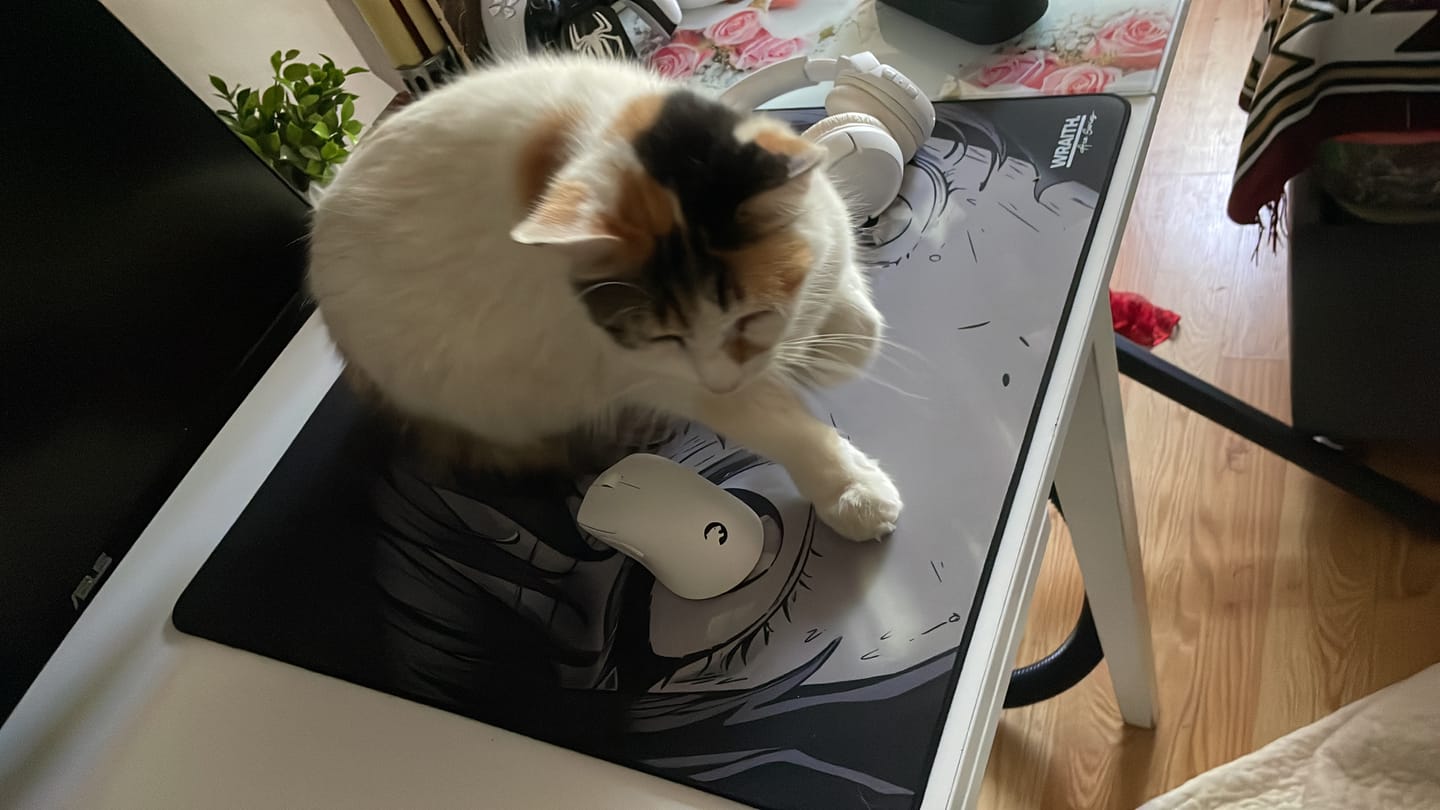 Customer photo review of Wraith Ace Series [Glimpse] Limited Edition Poron Mousepad