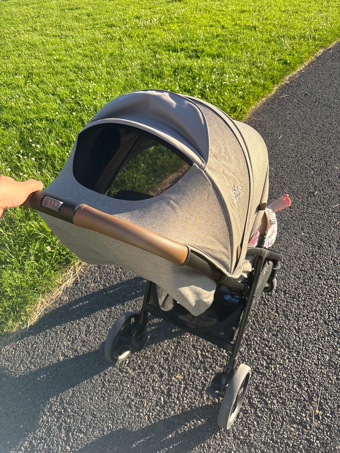 Customer photo review of Joie Parcel LX Signature Stroller