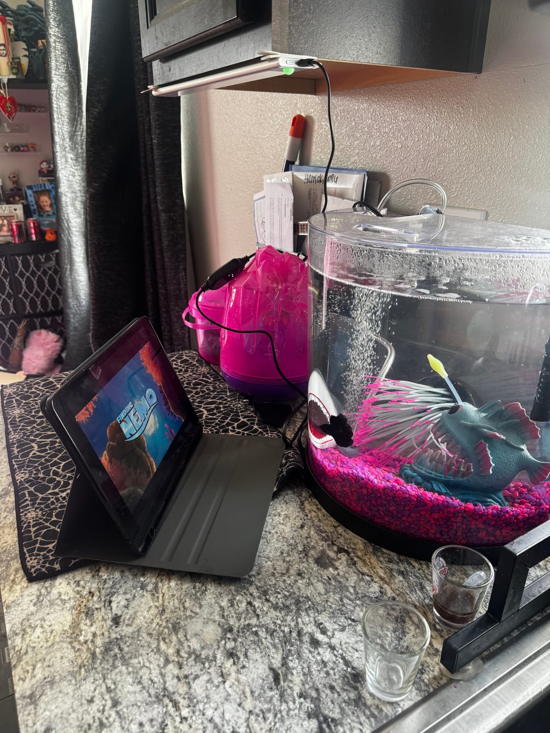 Customer photo review of Black Copper Halfmoon Male Betta Fish