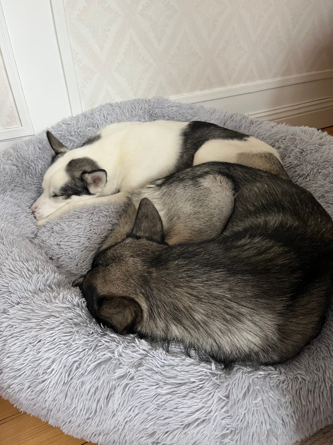 Customer photo review of CalmBed överdrag
