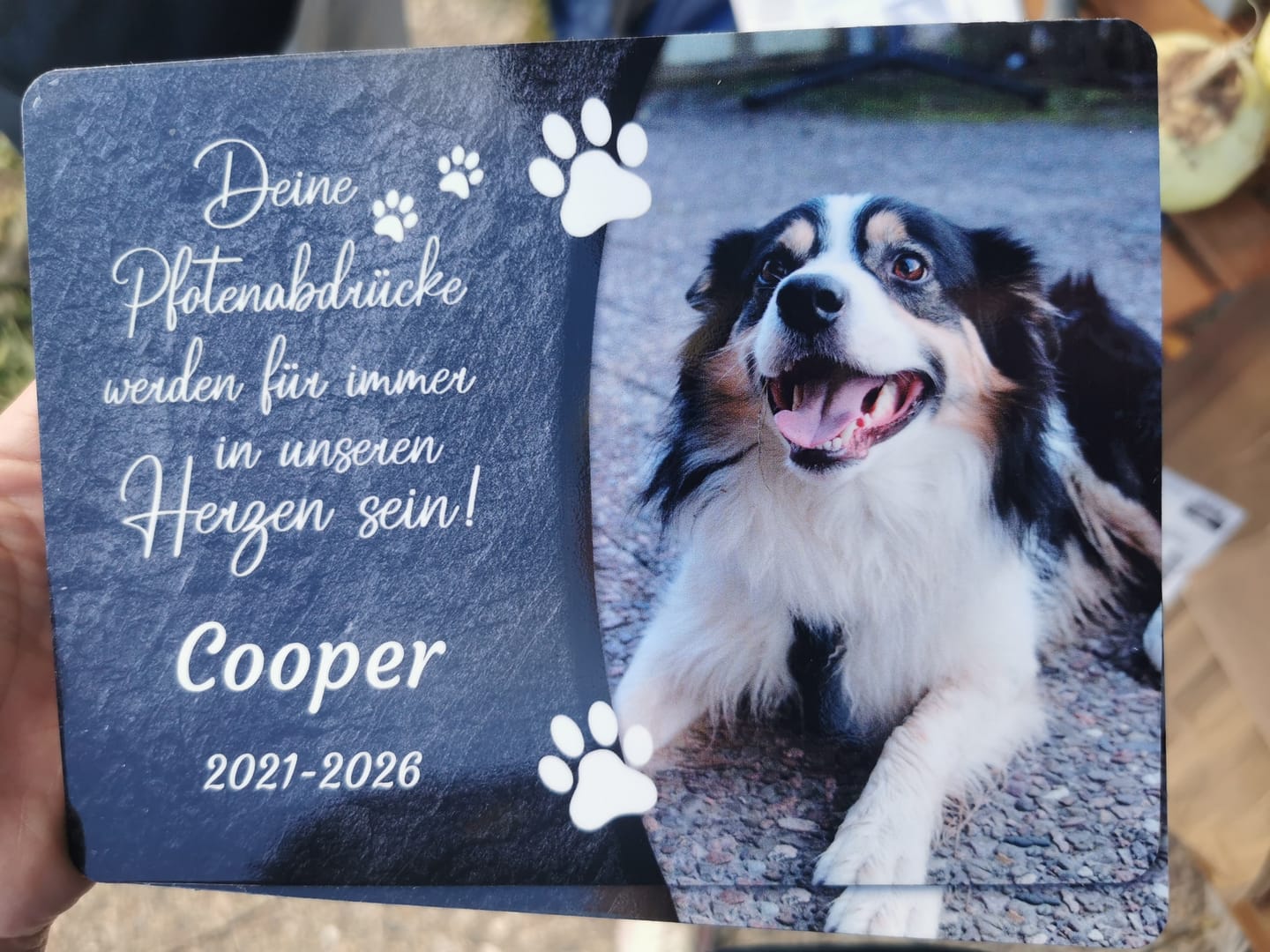 Customer photo review of Hunde Gedenktafel mit Foto & Spruch (UV- & Wetterfest)
