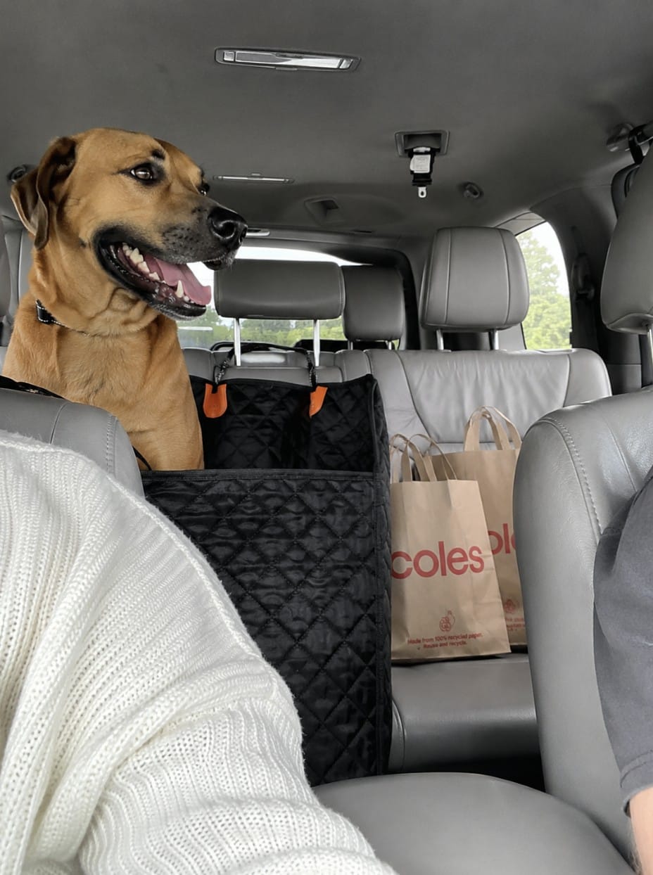 Customer photo review of Marlo&Co™ Single Travel Seat