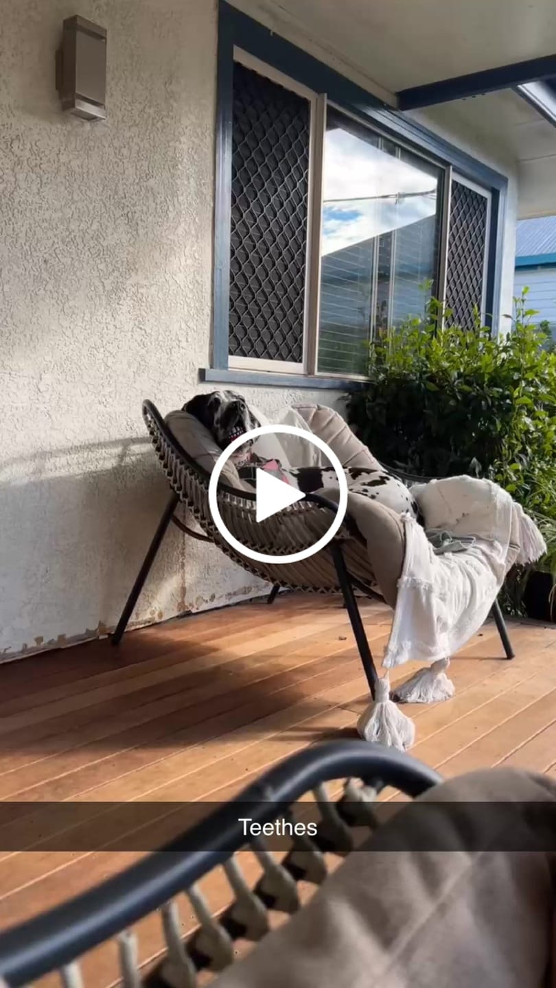Customer video review of Rogz Grinz Fetch Ball
