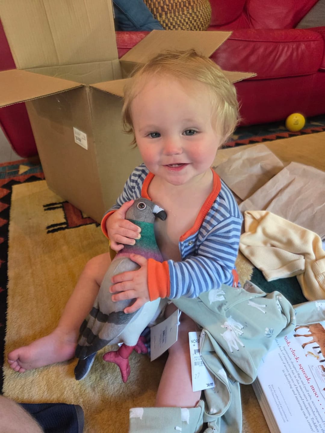 Customer photo review of Common Pigeon Bird Soft Stuffed Plush Toy