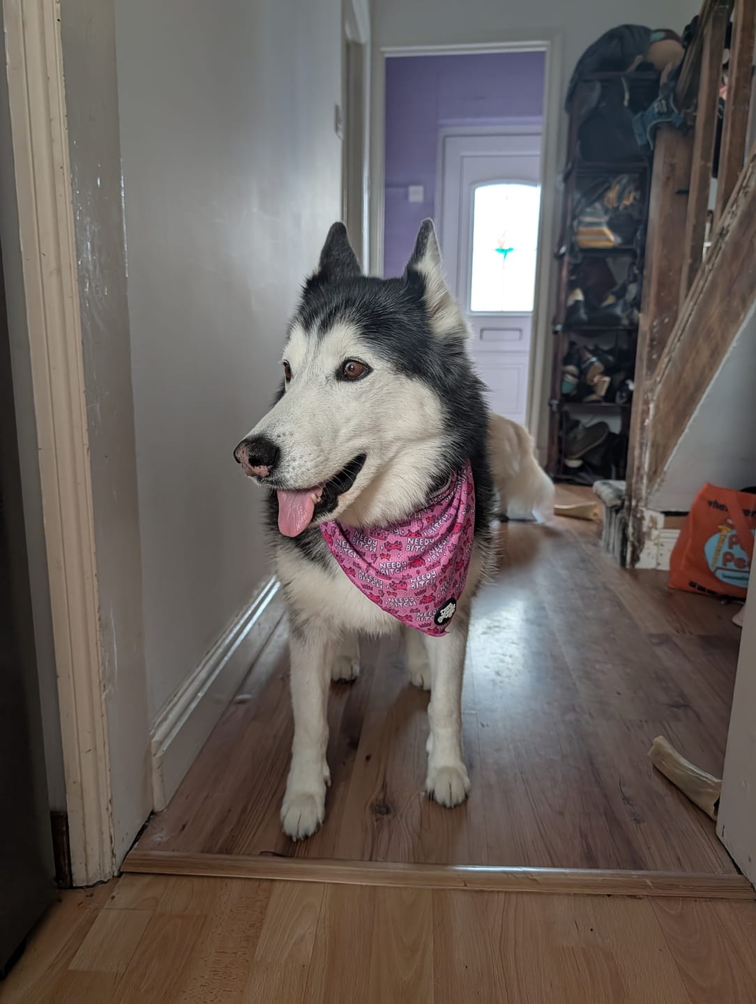 Customer photo review of Needy bi**h bandana