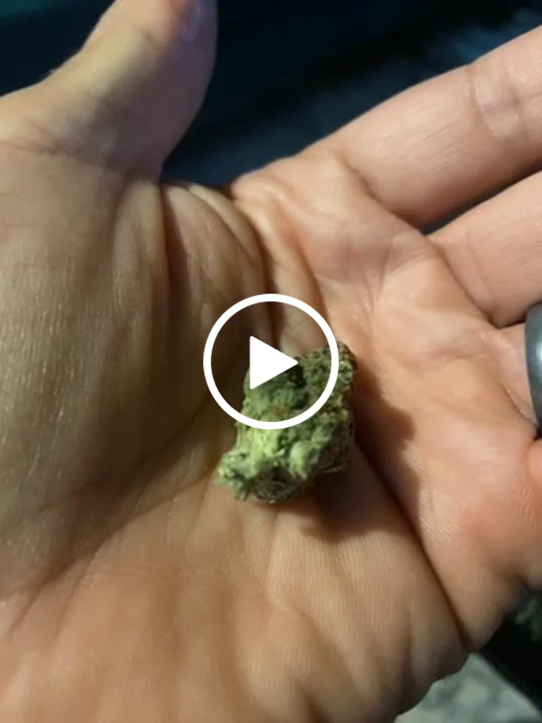 Customer video review of Lemon Cookie Dough CBD Flower