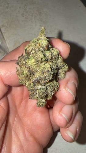 Gelato Kush - Bulk - Indica photo review