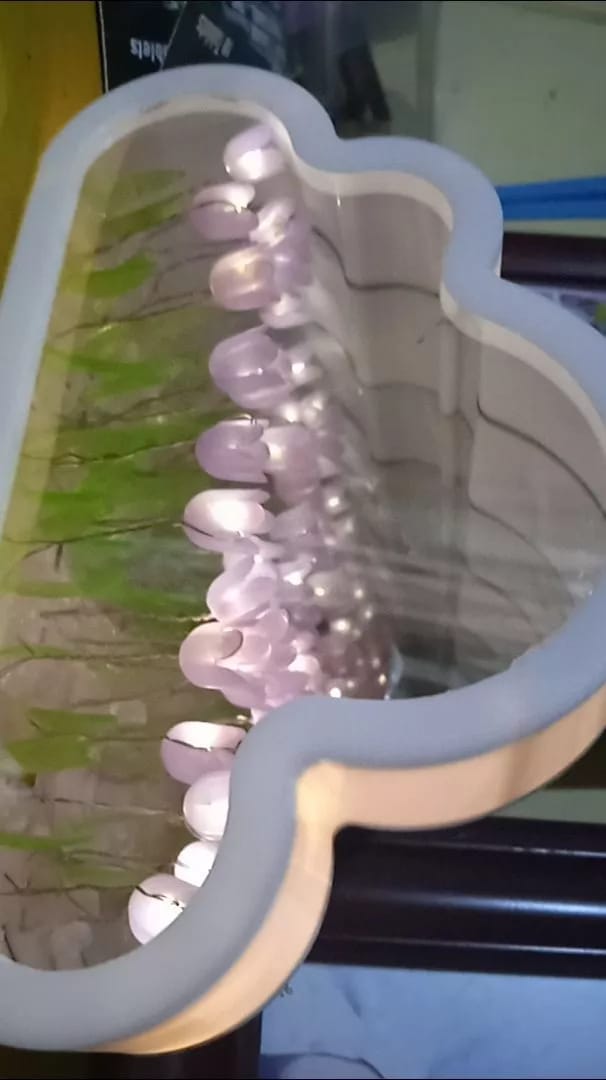 Customer photo review of Hidden Bloom Cloud - 2-in-1 Mirror Tulip Night Lamp
