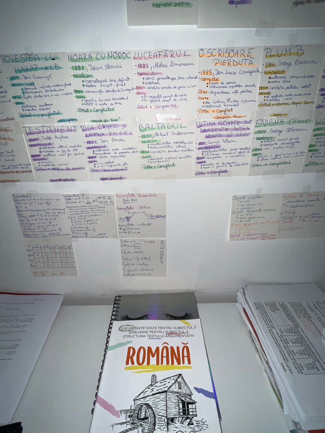 Customer photo review of Audiobook – Eseuri Audio BAC Română (temă și viziune, caracterizare, relație) + Quiz-uri