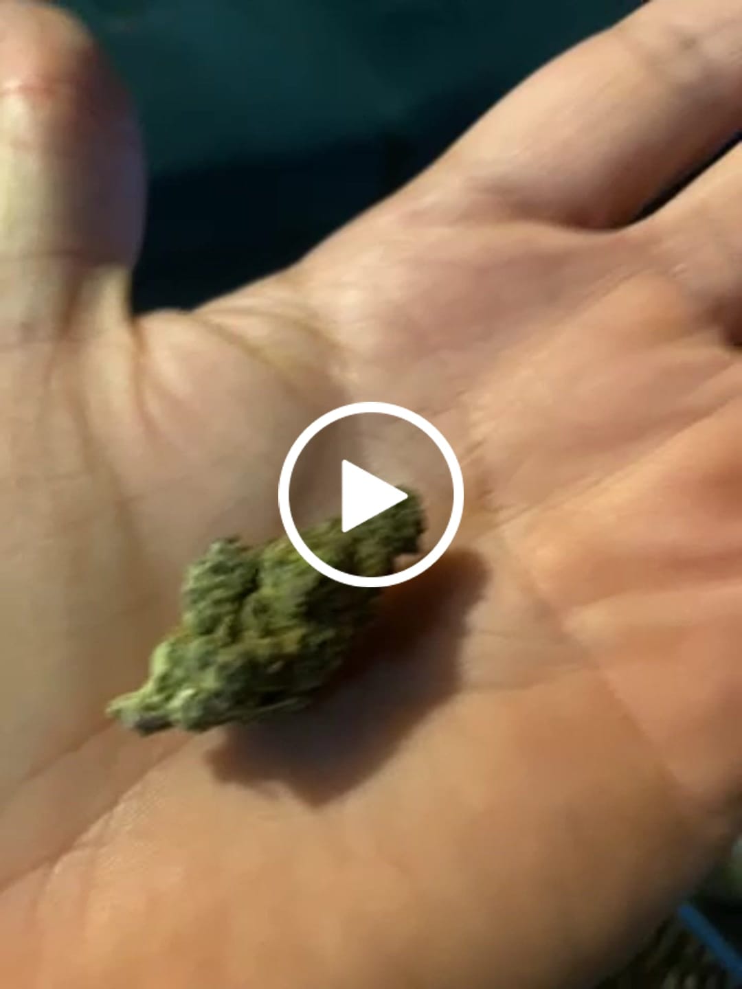 Customer video review of Tokyo Drift (Indoor) - THCA Flower