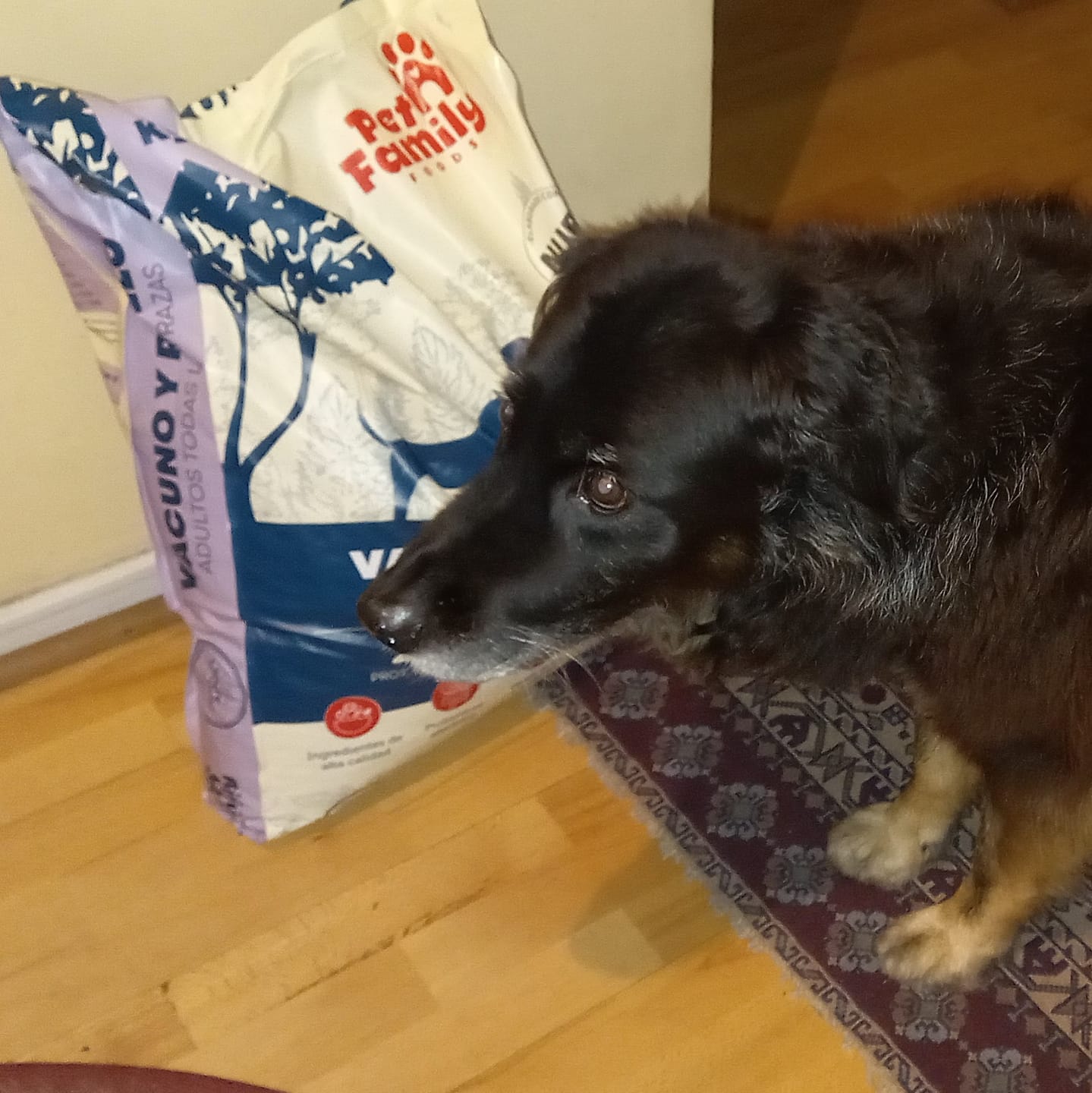Customer photo review of PetFamily Foods Cerdo Nordico