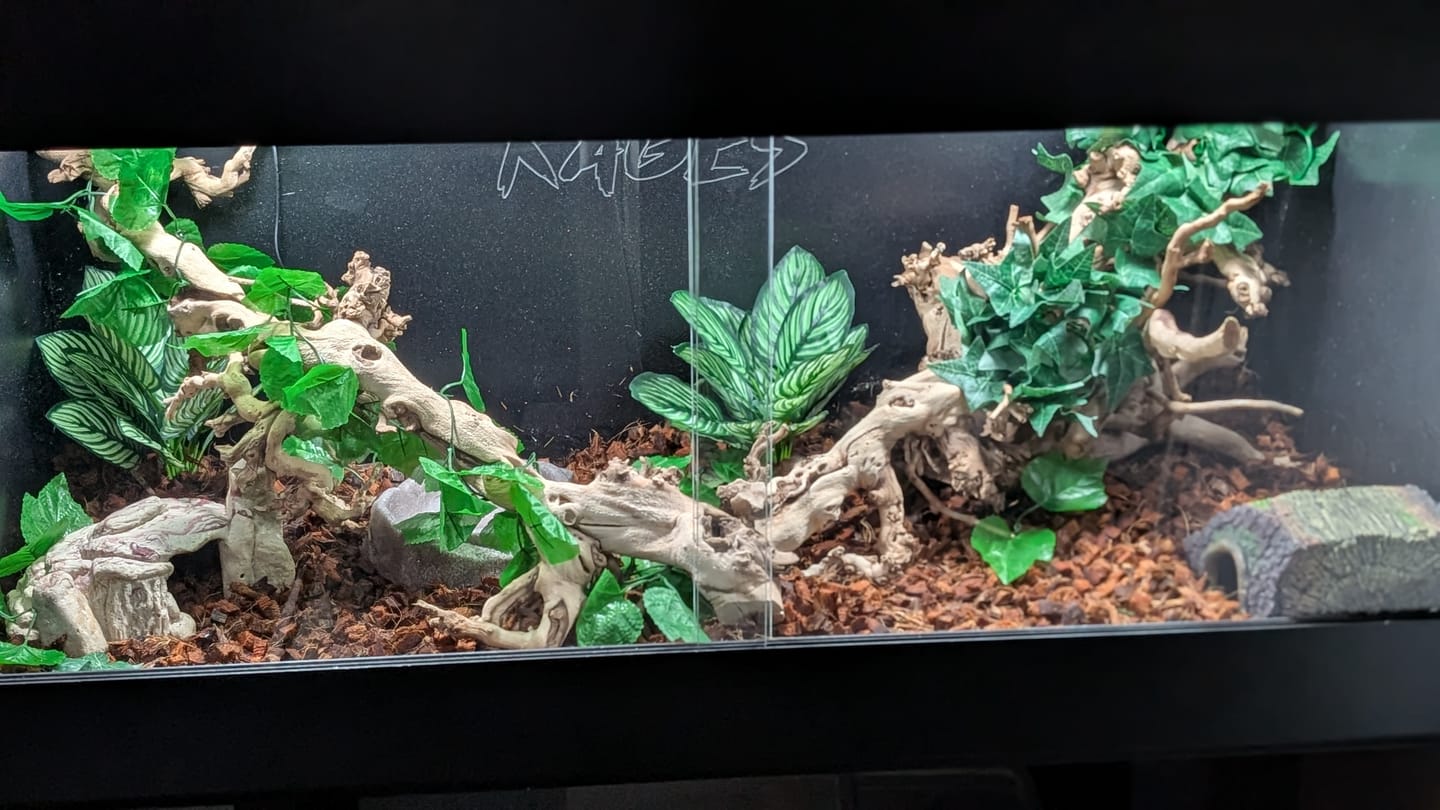 Customer photo review of 48"x24"x24" / 4'x2'x2' Premium PVC Reptile Enclosure