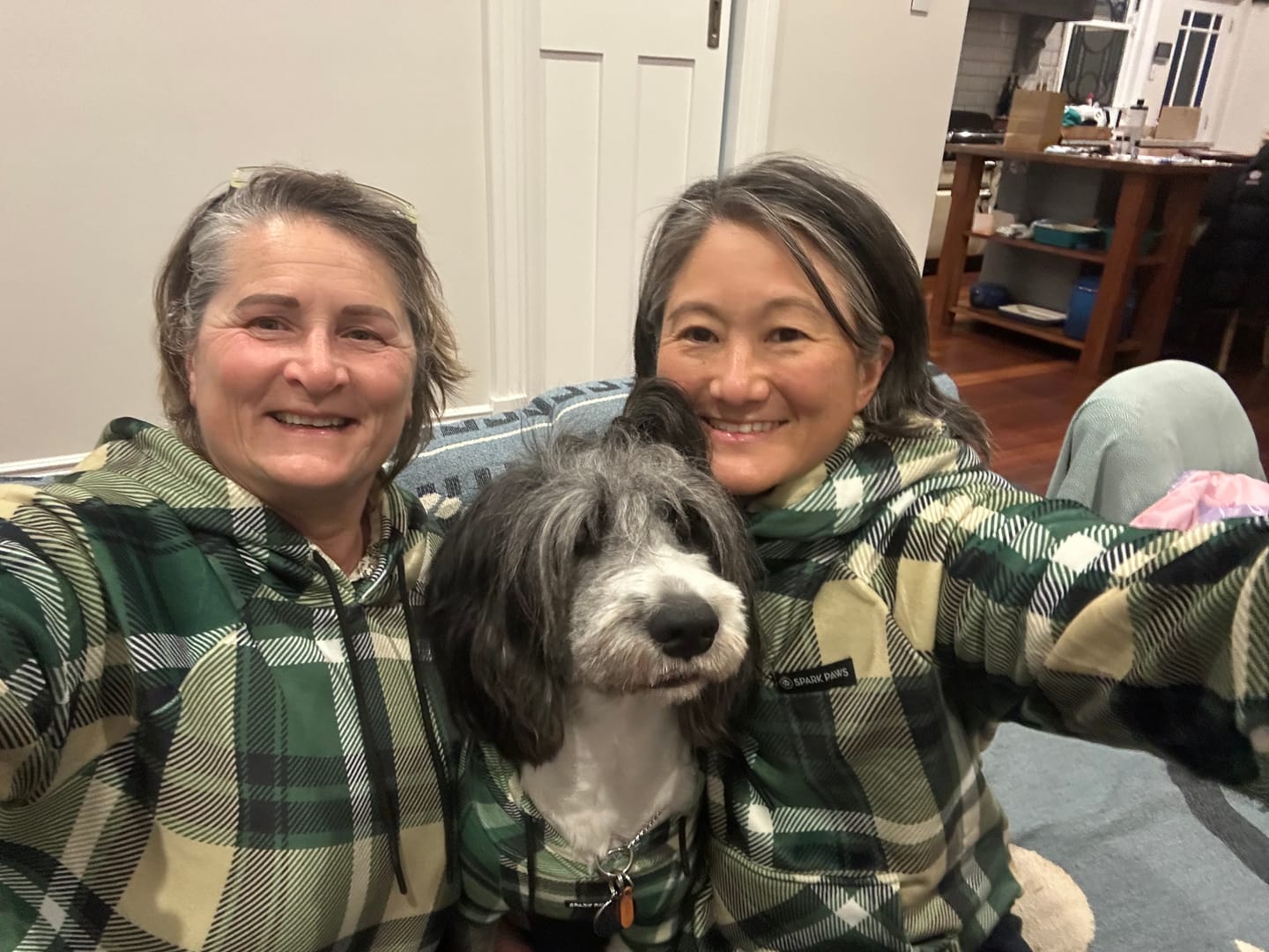 Customer photo review of Green Plaid Human Hoodie