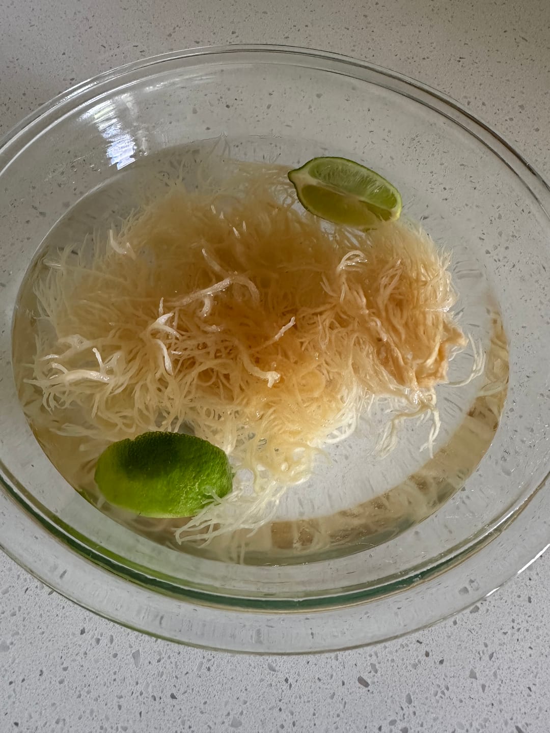 Customer photo review of Premium Raw Sea Moss (1.4 oz)