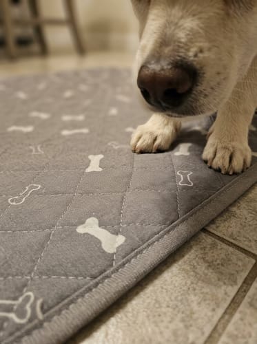 Customer photo review of SniffPad™