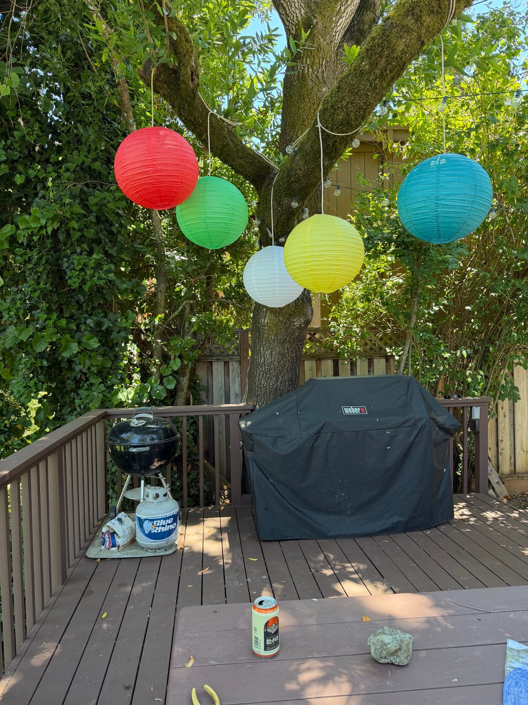 Customer photo review of 16" Red Round Paper Lantern, Even Ribbing, Chinese Hanging Wedding & Party Decoration