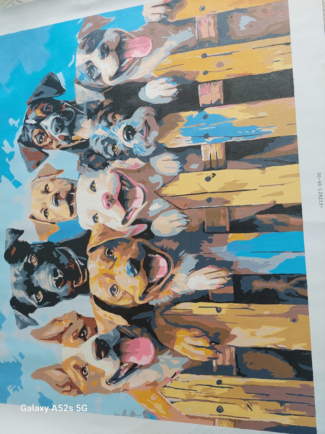 Customer photo review of Dog Days of Summer