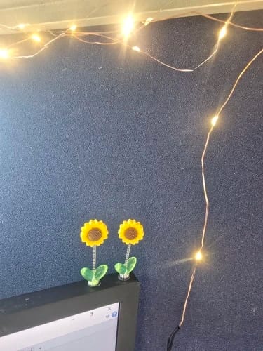 Customer photo review of Mini Shaking Sunflowers