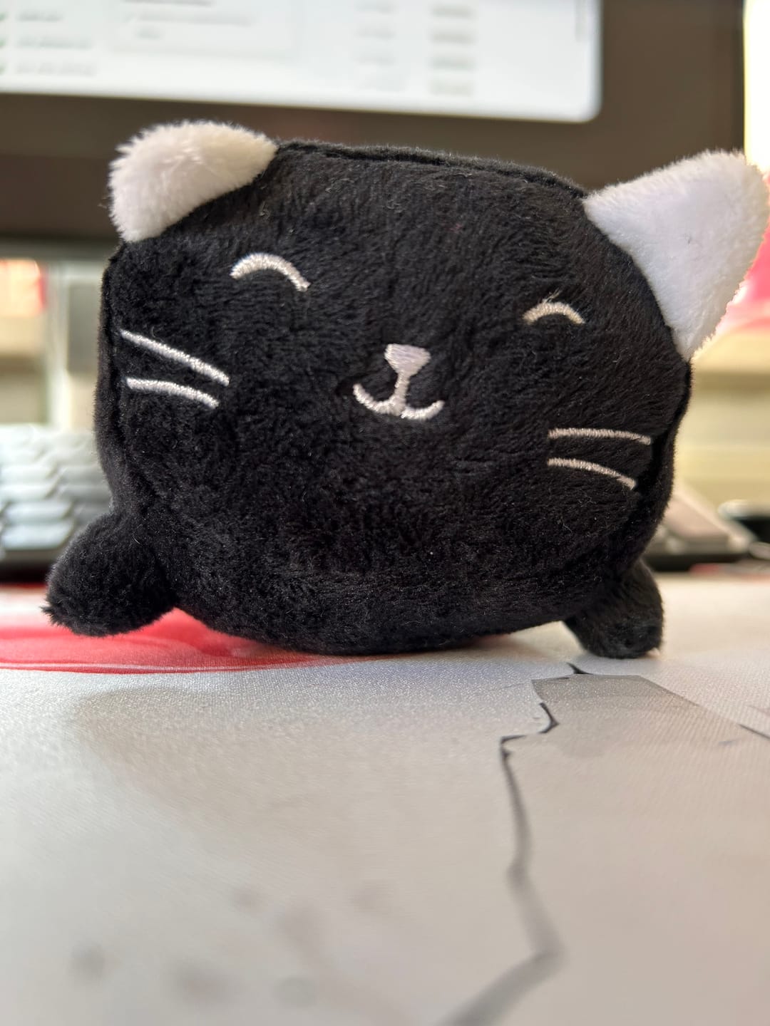 Customer photo review of Luna – Schwarze Katze als Stressball und Bildschirmreiniger