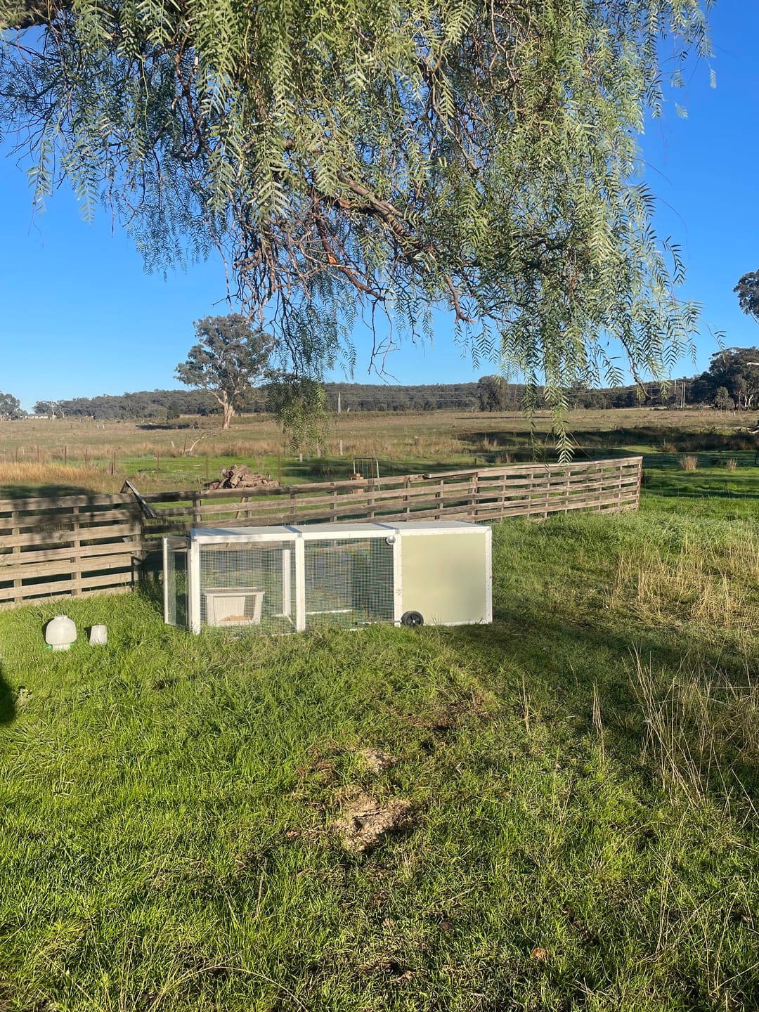 Customer photo review of Mobile Chicken Coop / Chicken Tractor