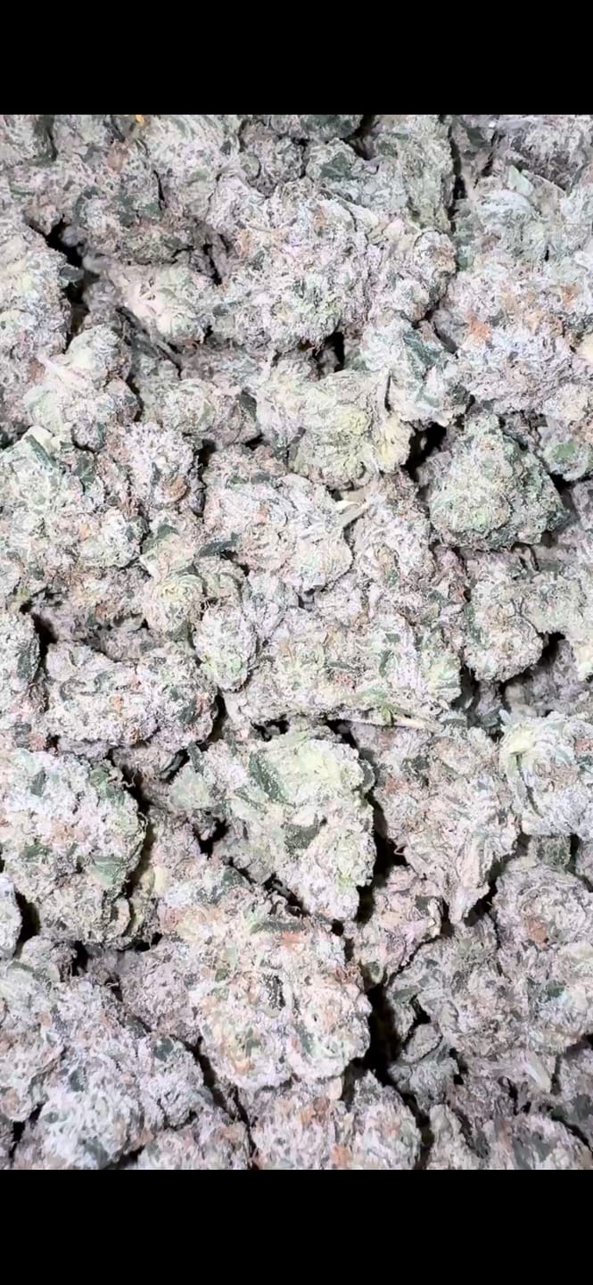 Customer photo review of Boutique Exotics  Coffin Candy - Bulk - Hybrid