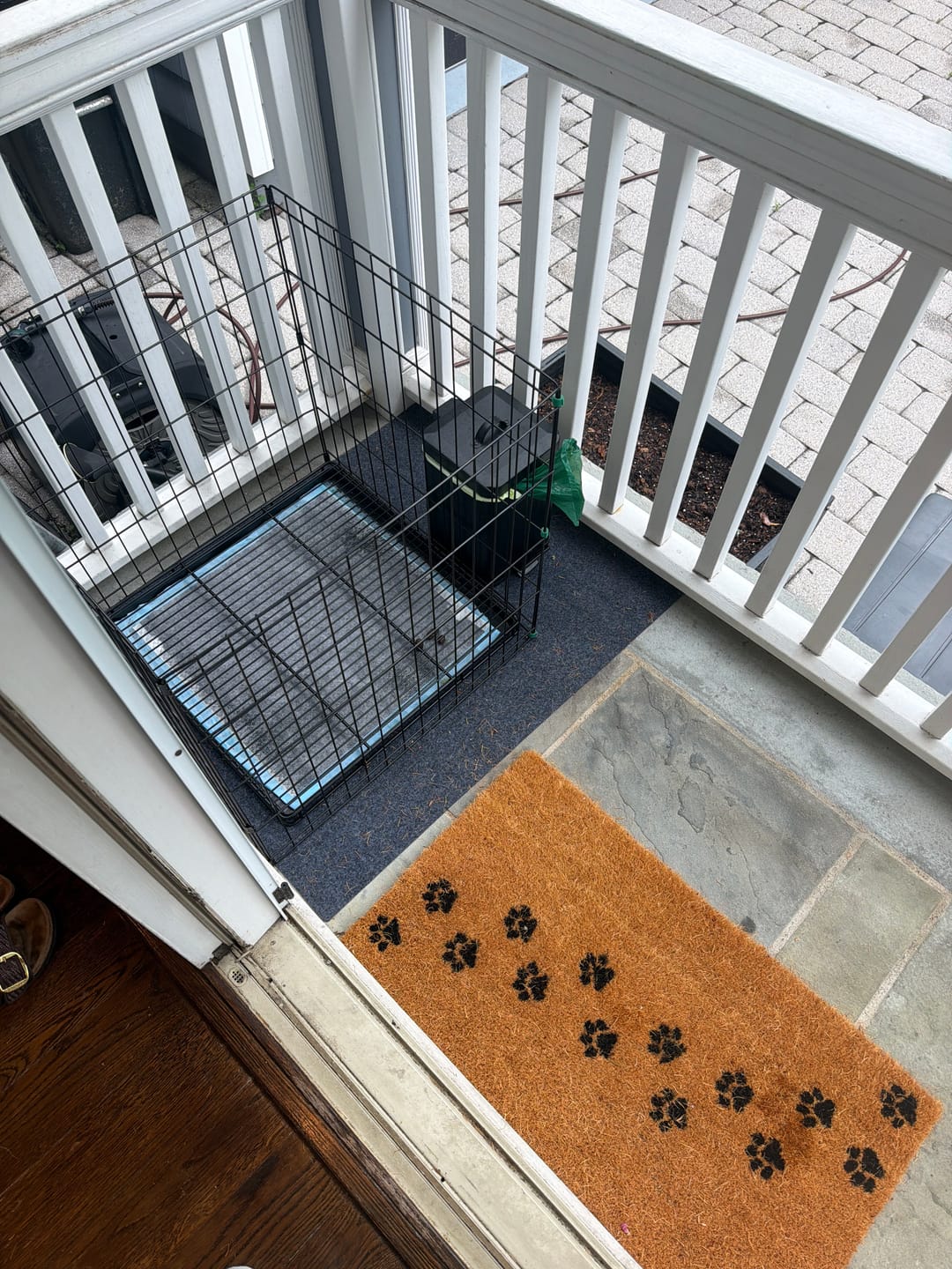 Customer photo review of Little Wolves Potty Tray 22" x 22"
