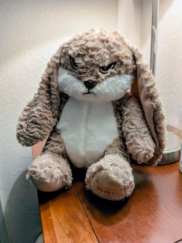 Customer photo review of Pompón™ El Conejito Gruñón Más Abrazable del Mundo