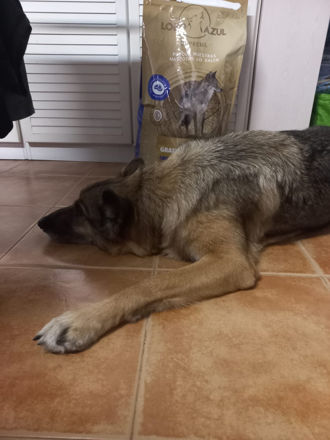 Customer photo review of Grain Free Light & Senior