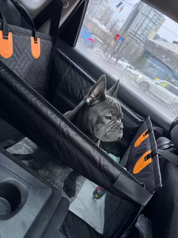 Customer photo review of Paw Protect - Hard Bottom Single Seat Cover