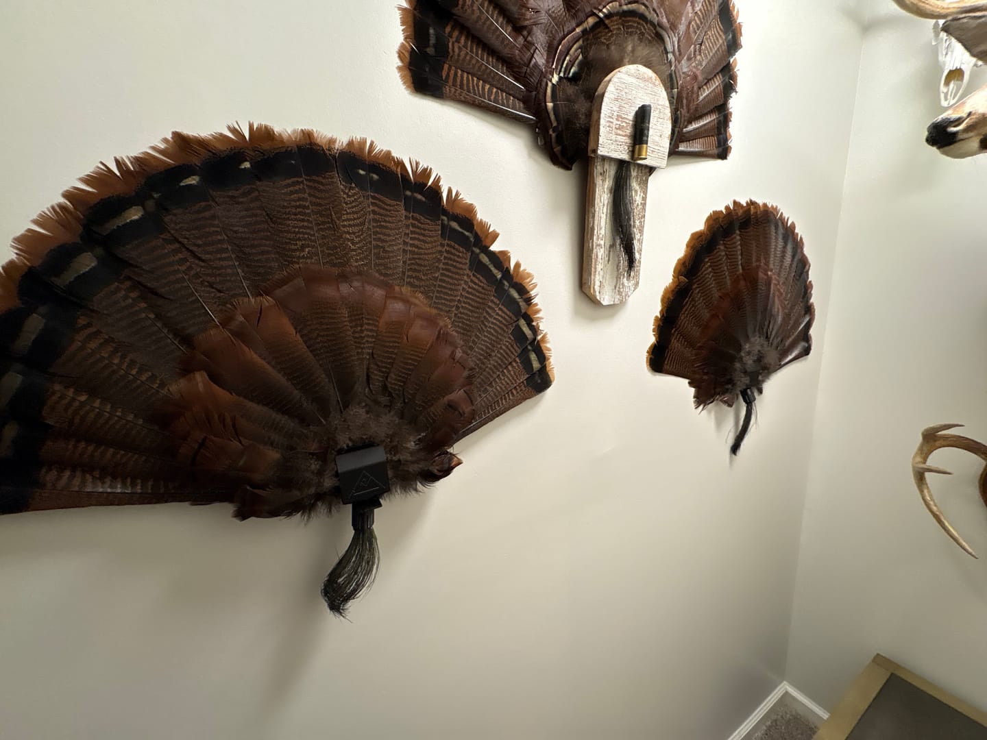 Customer photo review of FeatherLok | Mini