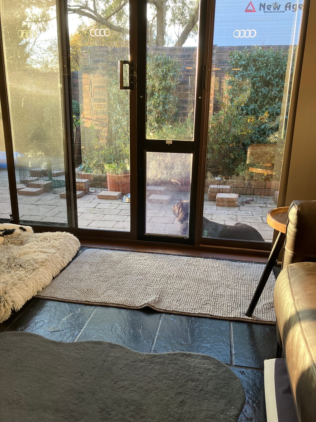 Customer photo review of Replacement Pet flap V3.0
