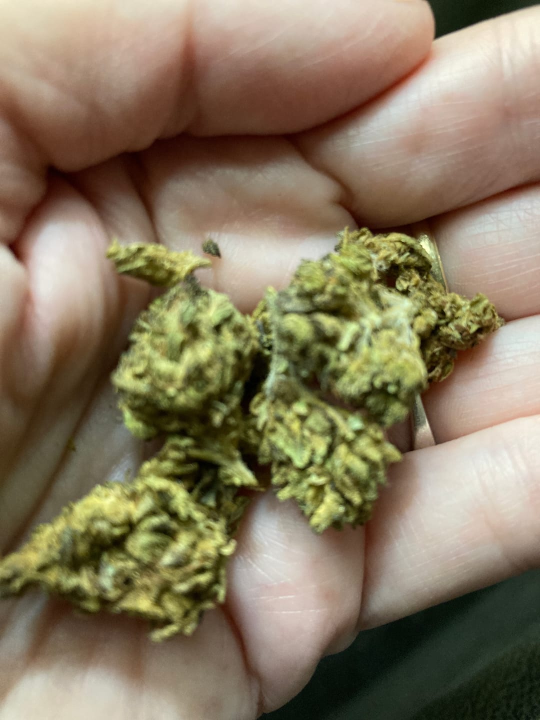 Customer photo review of Purple Kush - 28 Grams - Indica