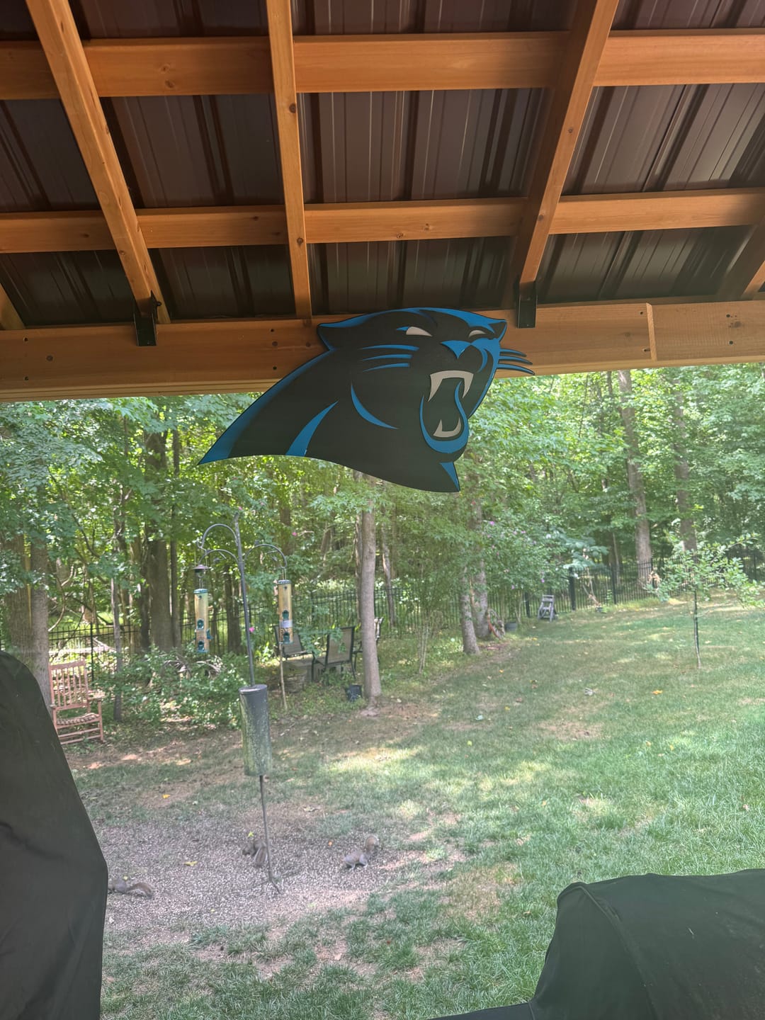 Customer photo review of Carolina Panthers 3D Vintage Metal Wall Art