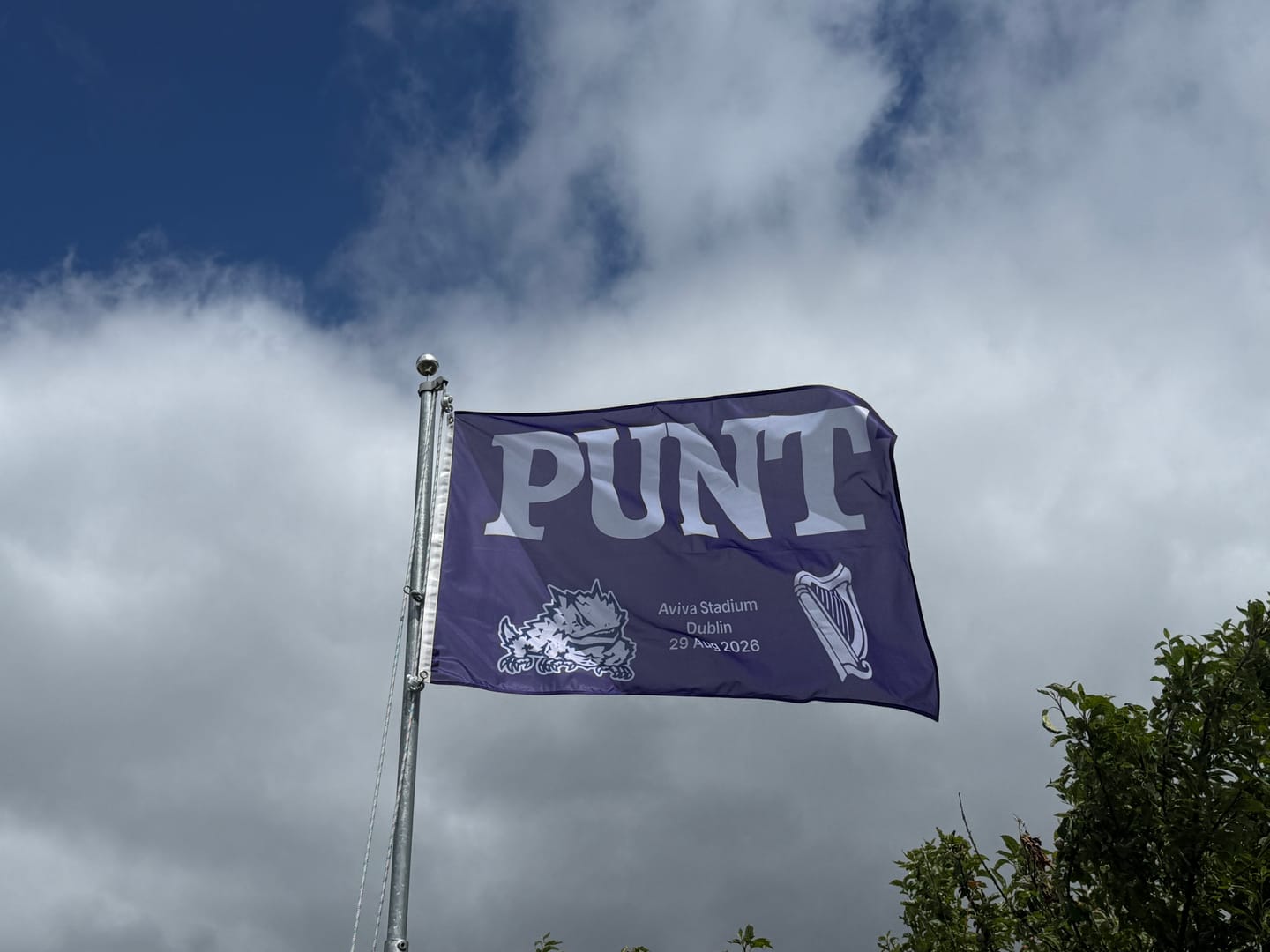 Customer photo review of Personalised Standard Flag